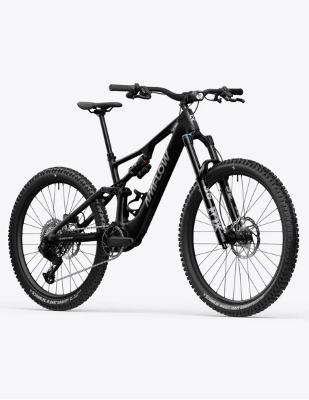 Bicicleta Amflow PX Carbon