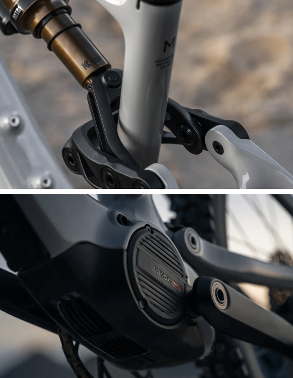 Bicicleta Amflow PX Carbon