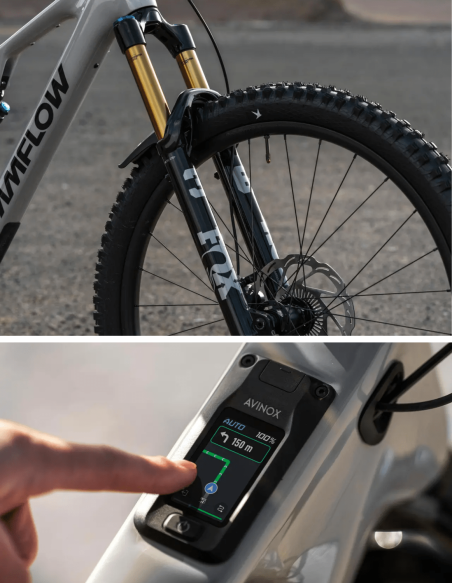Bicicleta Amflow PX Carbon
