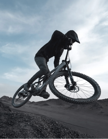 Bicicleta Amflow PX Carbon