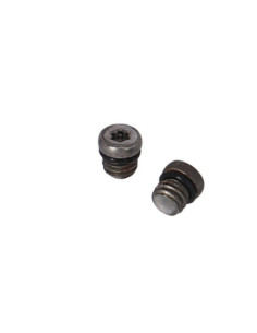 Kit Parafusos de Purga XLC BR-X127 6mm M5x0.8mm SRAM/AVID