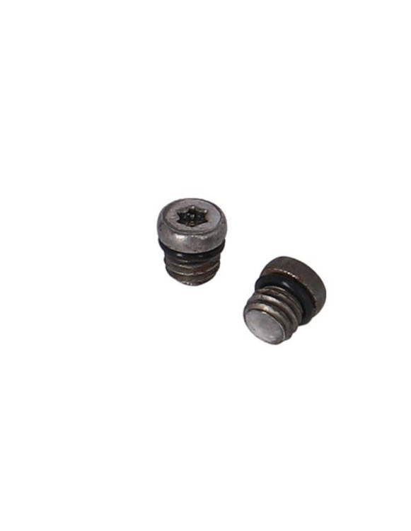 Kit Parafusos de Purga XLC BR-X127 6mm M5x0.8mm...