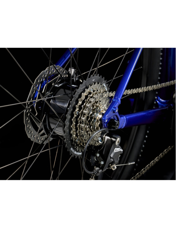 Dual Sport+ 2 LT 2025