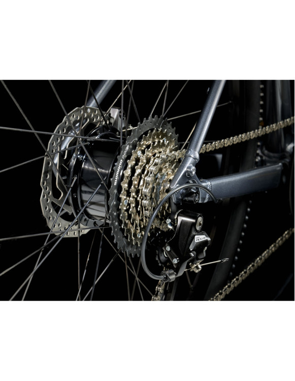 Dual Sport+ 2 LT 2025
