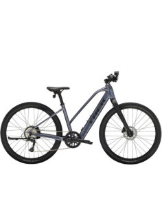 Dual Sport+ 2 Midstep LT 2025