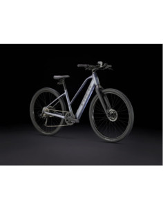 Dual Sport+ 2 Midstep LT 2025 2