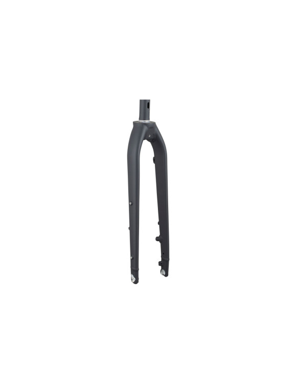 Forqueta Rígida Trek Dual Sport 2