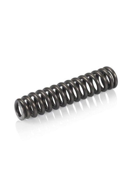 Mola de Substituição XLC SP-S10 85-100 kg
