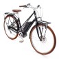 Bicicleta Elétrica - Electra Loft Go! 5i EQ Step-Thru 500 Wh