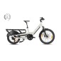 Bicicleta Elétrica Cargo Monty V4 Rover