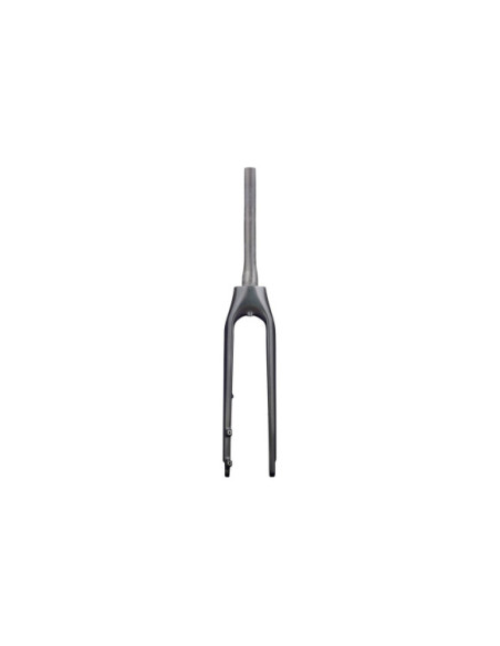 Forqueta Rígida Trek Allant+ 9.9 Carbon
