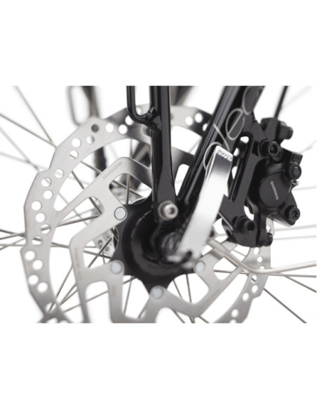 Bicicleta Elétrica Electra Townie Commute Go! 5i