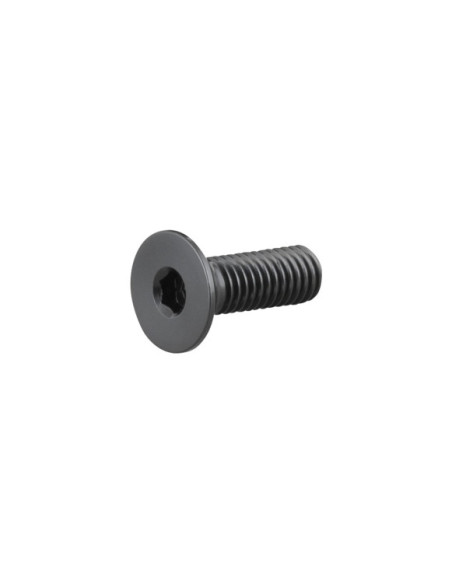 Parafuso Suspensão Trek M5X0.8X10