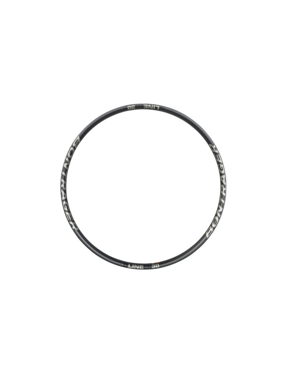 Aro Bontrager Line DH 30 29 para BTT Downhill