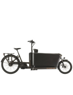 Bicicleta de Carga Elétrica Trek Fetch+ 4