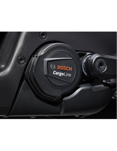 Bicicleta de Carga Elétrica Trek Fetch+ 4
