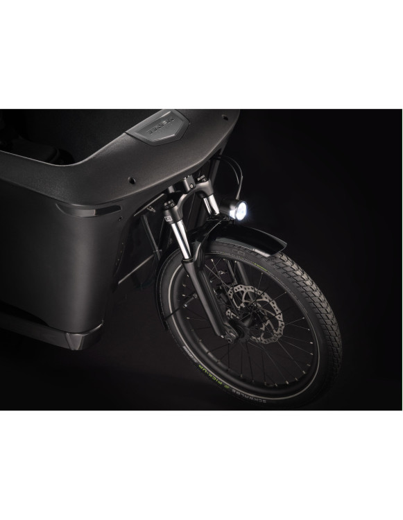 Bicicleta de Carga Elétrica Trek Fetch+ 4