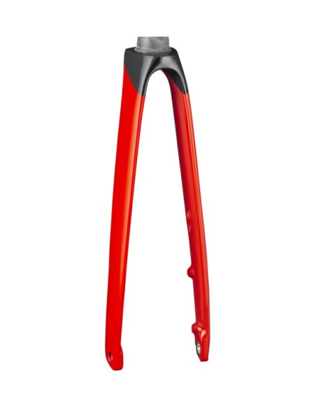 Forqueta Rígida Trek Speed Concept SLR