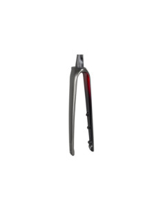 Forqueta Rígida Trek Domane SL 5 Carbono 2