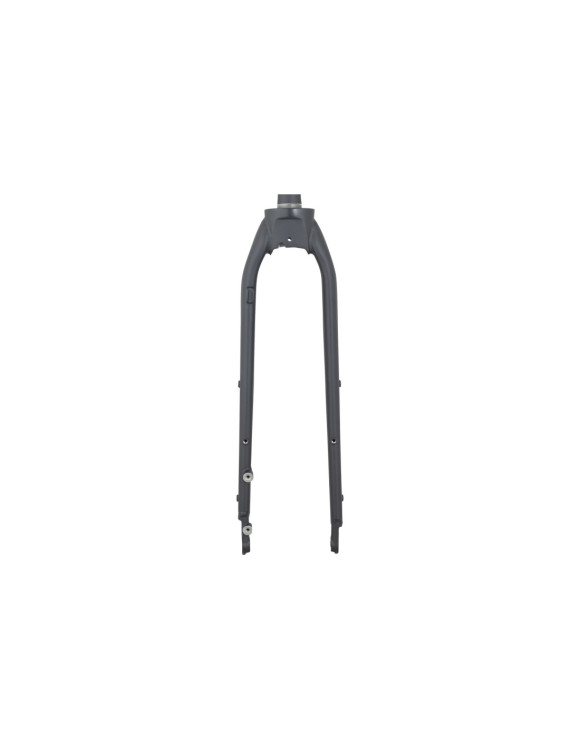 Forqueta Rígida Trek Dual Sport 1