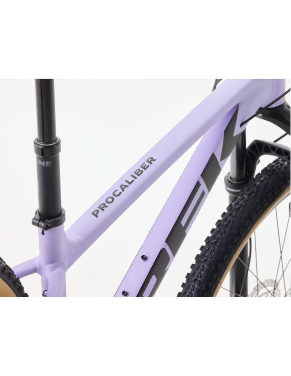 Procaliber 6 2026