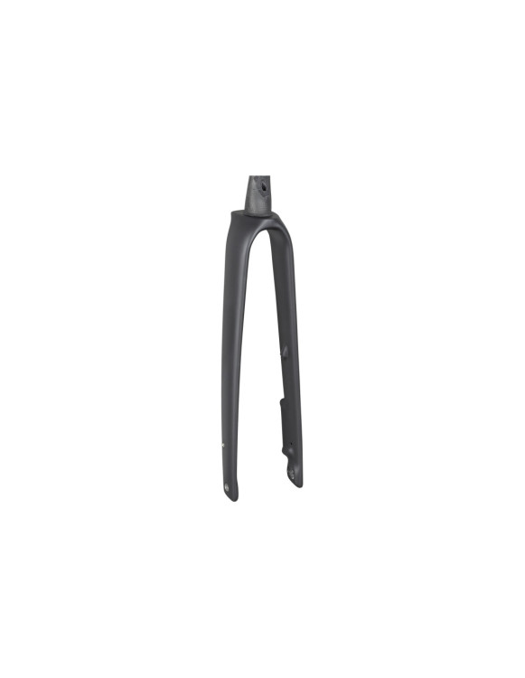 Forqueta Rígida Trek Domane+ SLR 53R