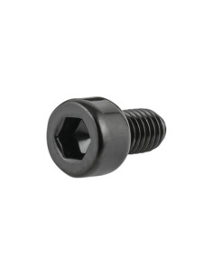 Aperto Trek M5x0.8x25mm SHC 2