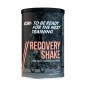 Recovery Shake Born Frutos Vermelhos/Limão 450g