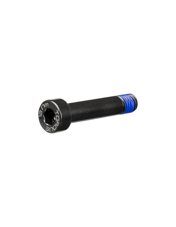 Parafuso de Suspensão Trek M8x1.25x55