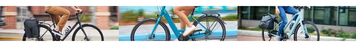 Suporte de Bagagens para Bicicleta | Benebike