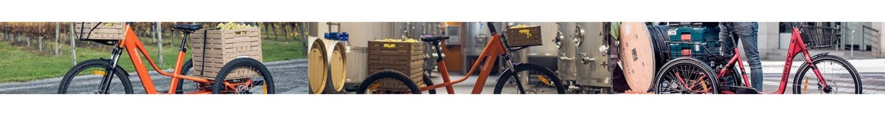 Bicicletas elétricas triciclo para adultos | Benebike